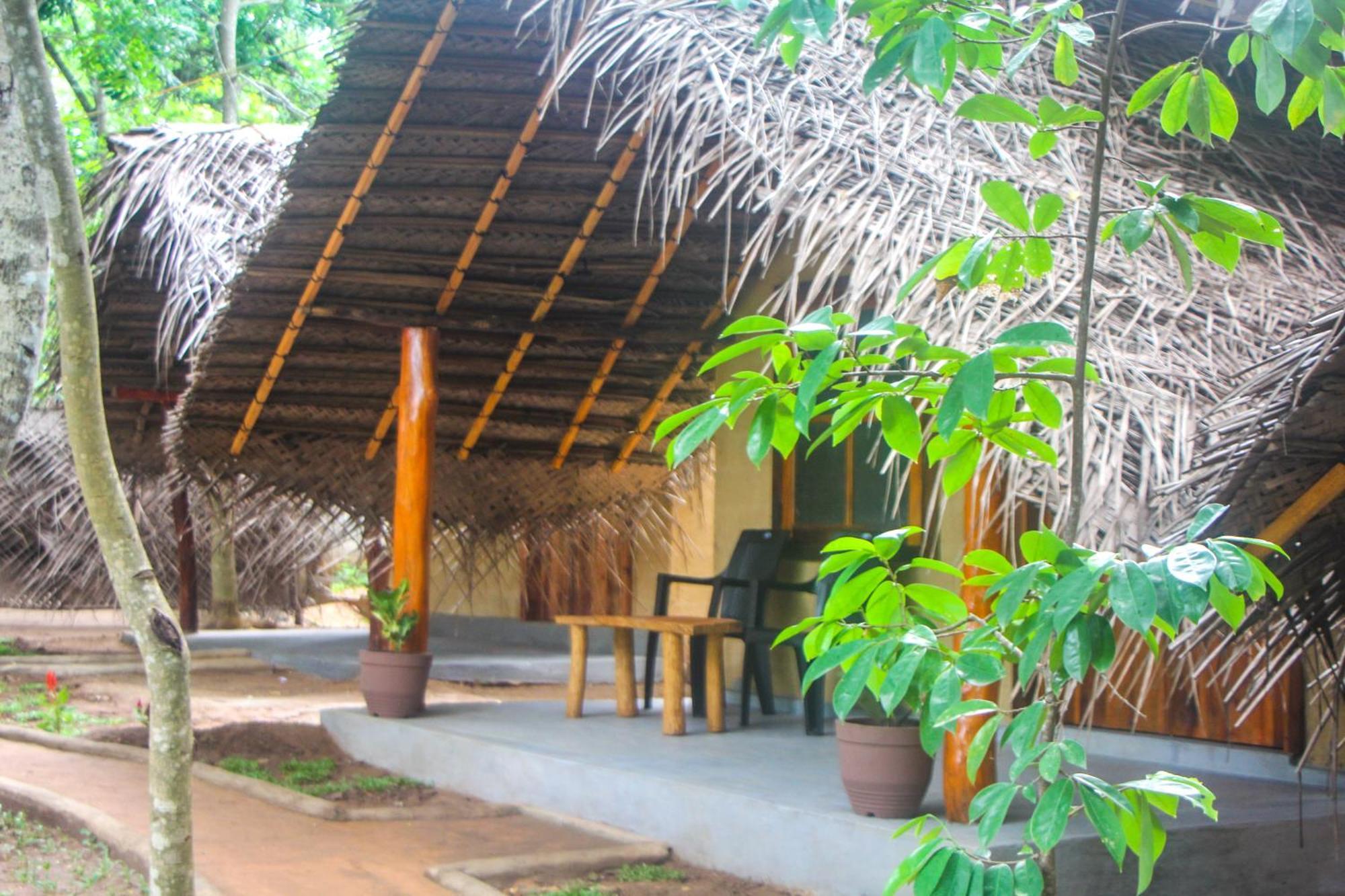 Jungle Host Hostel And Tree House シギリヤ エクステリア 写真