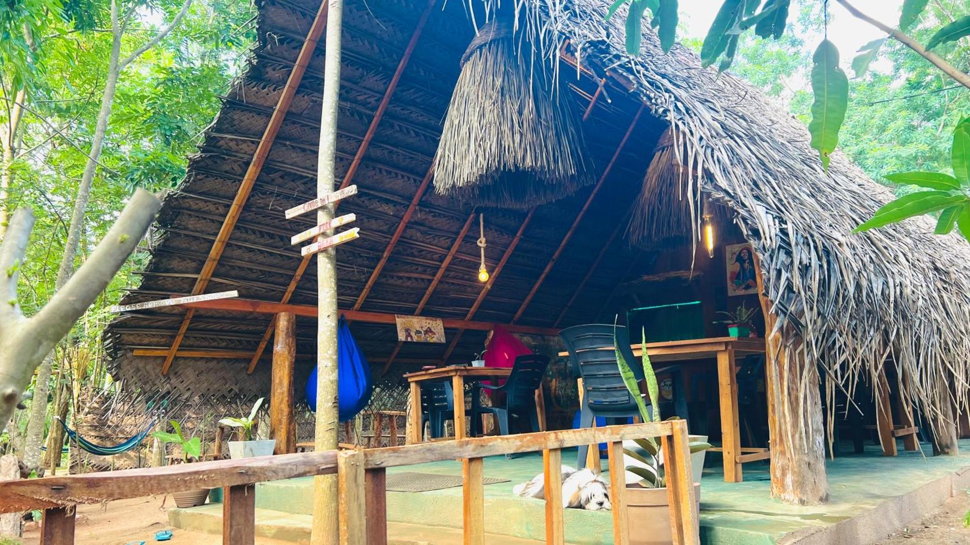 Jungle Host Hostel And Tree House シギリヤ エクステリア 写真