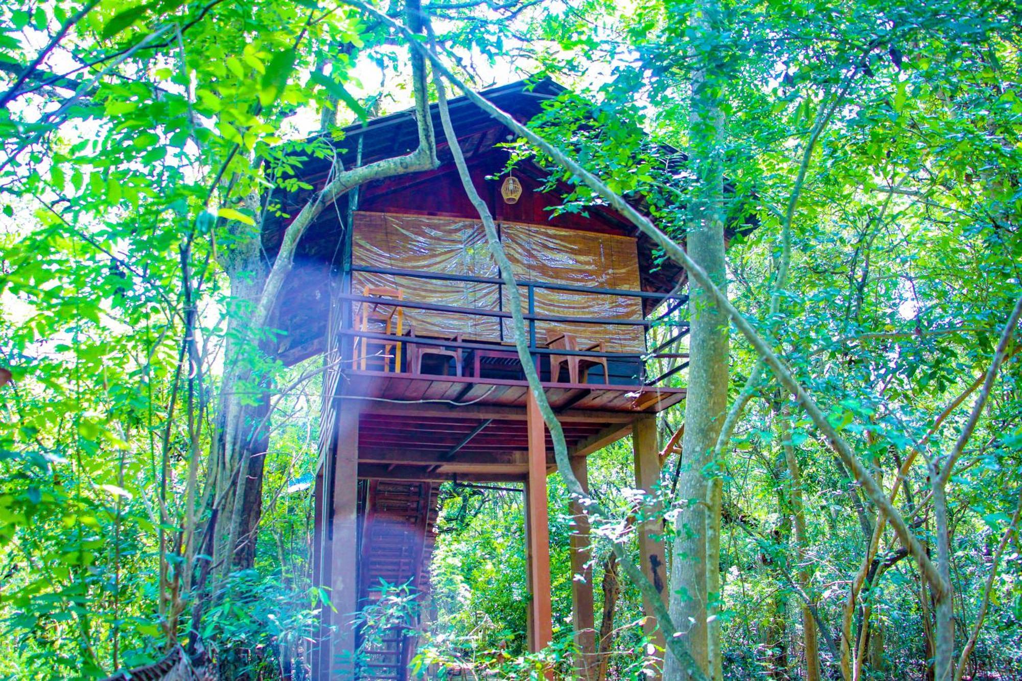 Jungle Host Hostel And Tree House シギリヤ エクステリア 写真