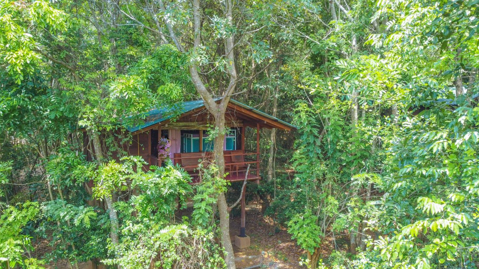 Jungle Host Hostel And Tree House シギリヤ エクステリア 写真