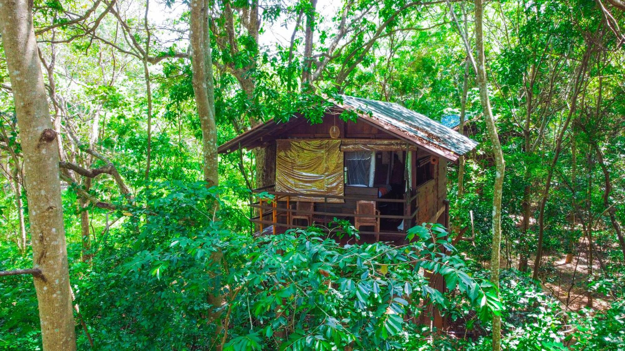 Jungle Host Hostel And Tree House シギリヤ エクステリア 写真