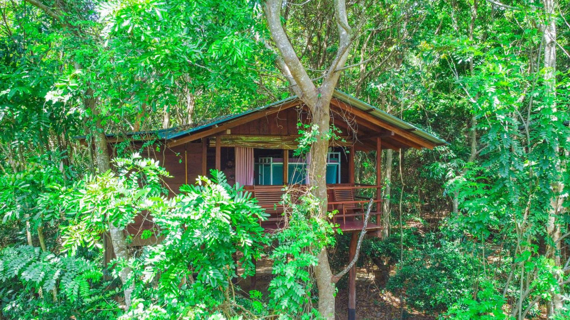 Jungle Host Hostel And Tree House シギリヤ エクステリア 写真