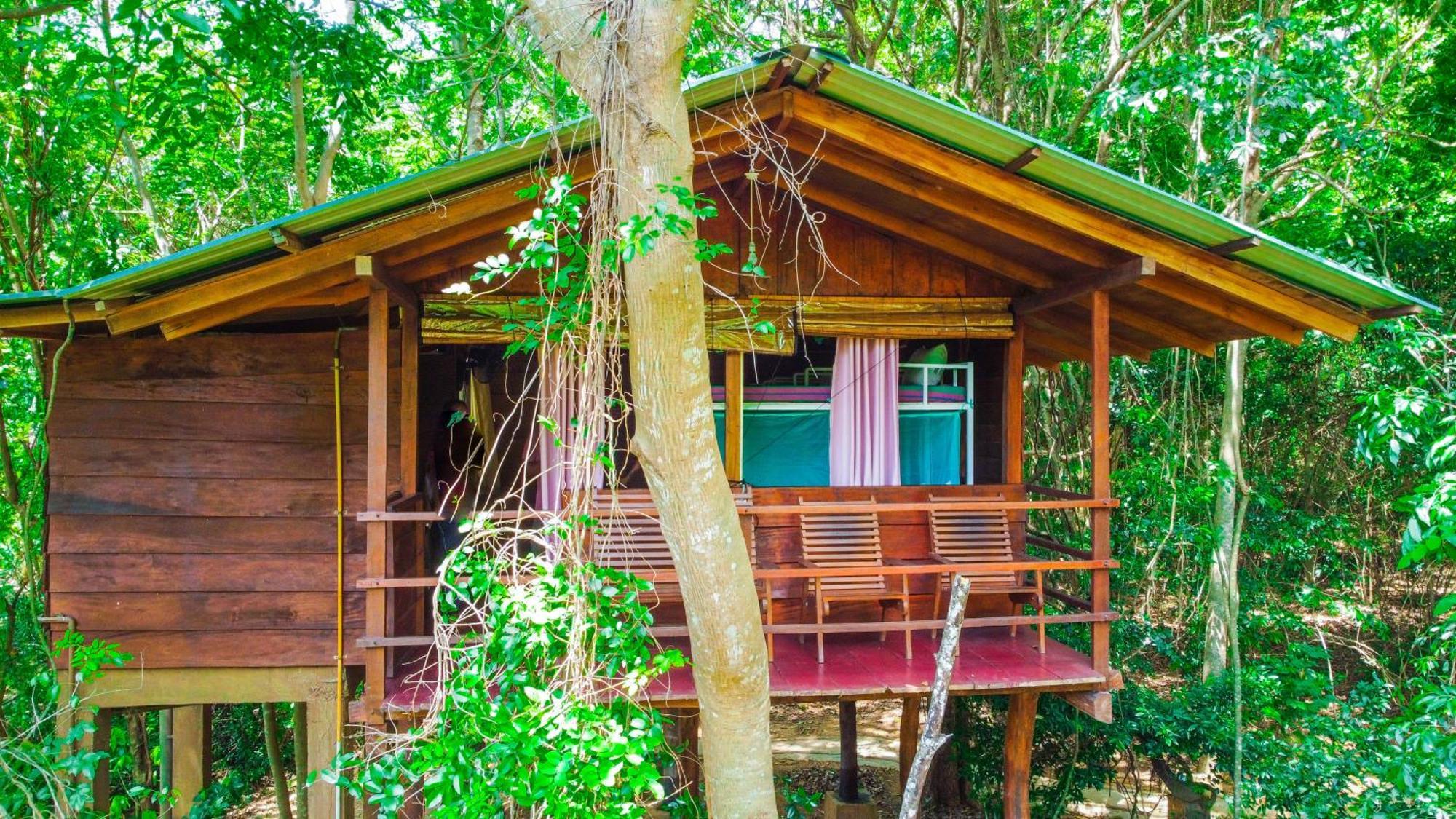 Jungle Host Hostel And Tree House シギリヤ エクステリア 写真