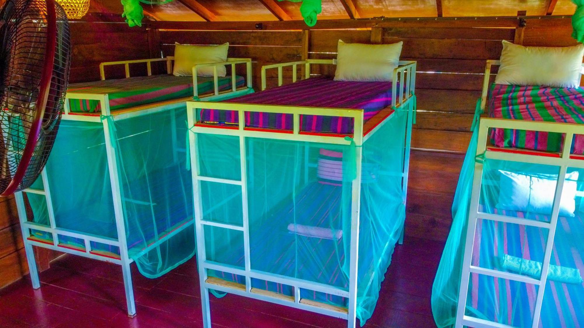 Jungle Host Hostel And Tree House シギリヤ エクステリア 写真